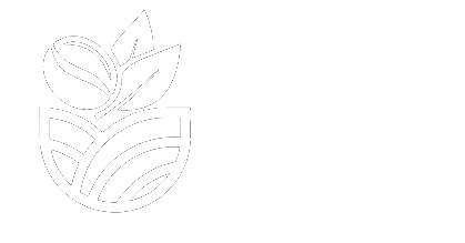 BMV